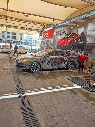 Anoosh Auto Washing and Services L.L.C in Al Rashidiya 1
